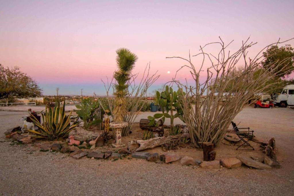 Joshua Tree Ranch House Motel - Downtown - Room #6 Екстер'єр фото