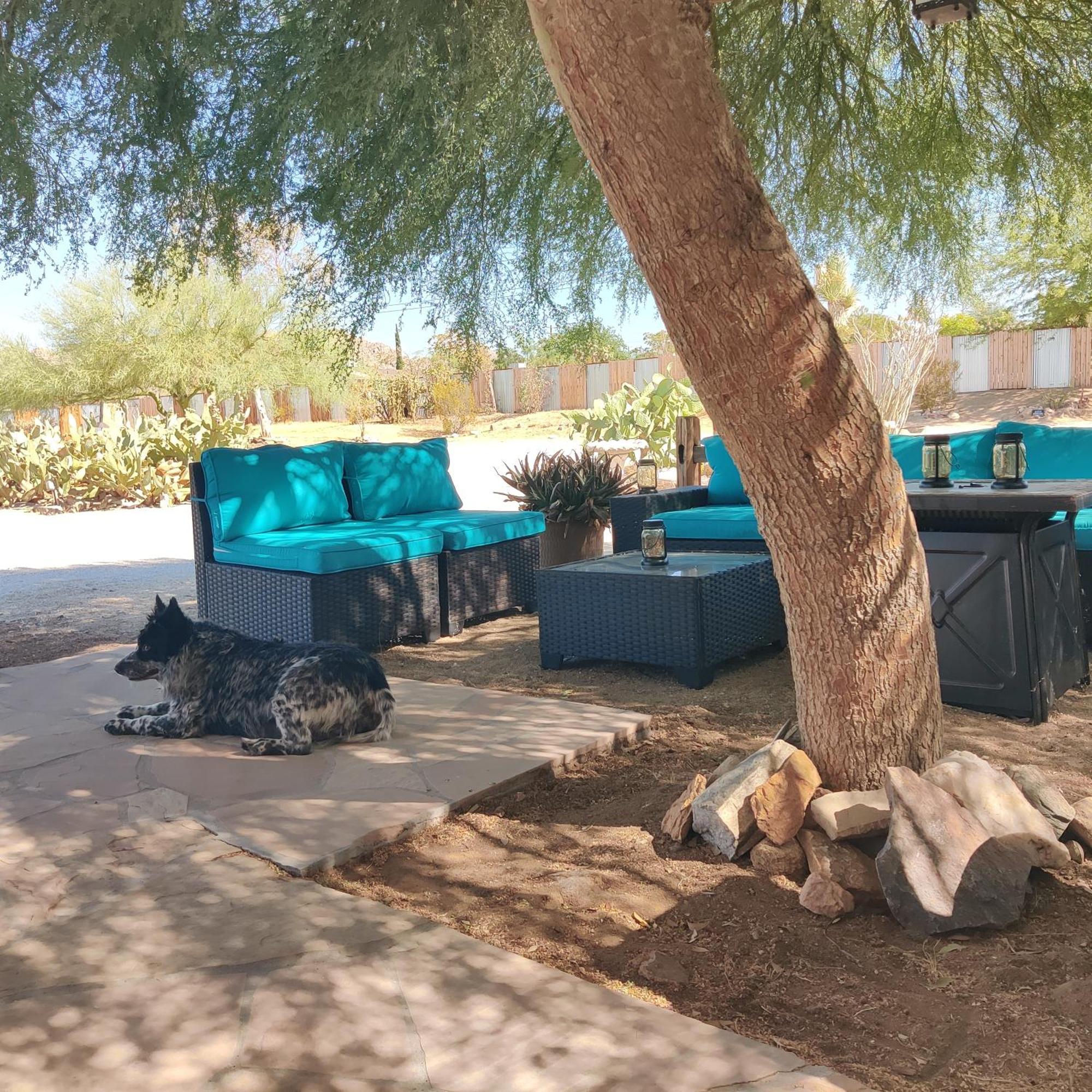 Joshua Tree Ranch House Motel - Downtown - Room #6 Екстер'єр фото
